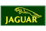 jaguar-sit.jpg