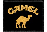 camel_1.jpg